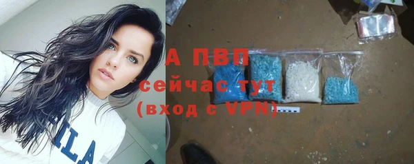 винт Абаза
