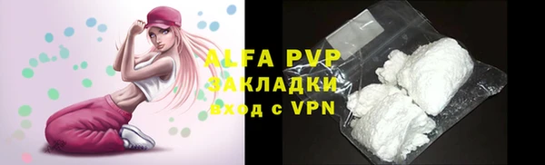 винт Абаза