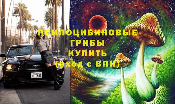 ECSTASY Абинск