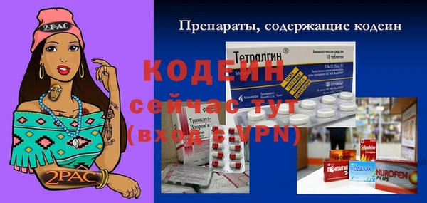 дмт Костерёво