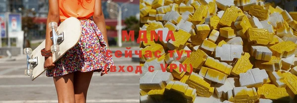 шишки Сатка